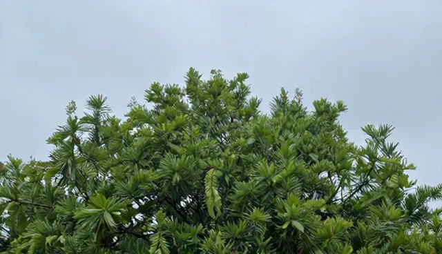 信息筛选要点解析：招商加盟中的性能与适用条件