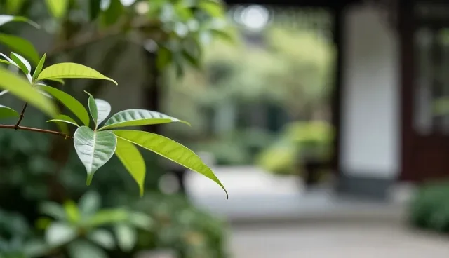 数据更新中的性能误区与选型关注点